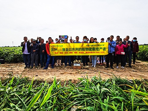 市場(chǎng)服務(wù)