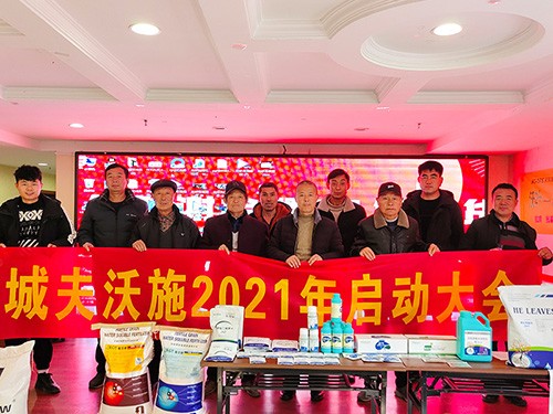 市場(chǎng)服務(wù)