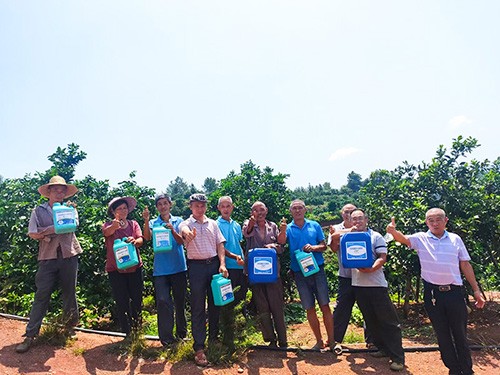 市場(chǎng)服務(wù)