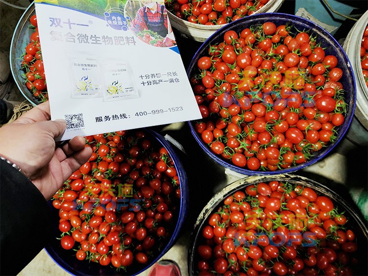 夫沃施進(jìn)口肥怎么樣？