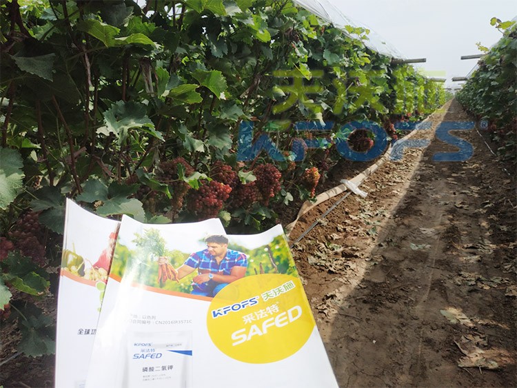 磷酸二氫鉀為什么都說(shuō)粉劑的好？