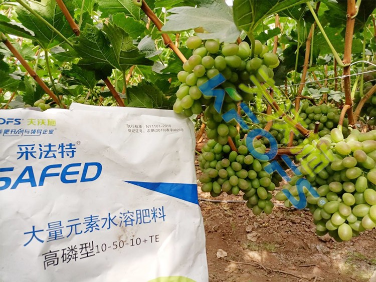 水溶肥價(jià)格高，可是用的人卻很多！