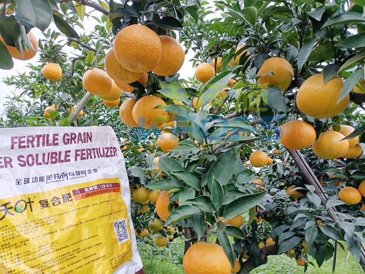 柑橘膨果轉(zhuǎn)色期用什么水溶肥好？