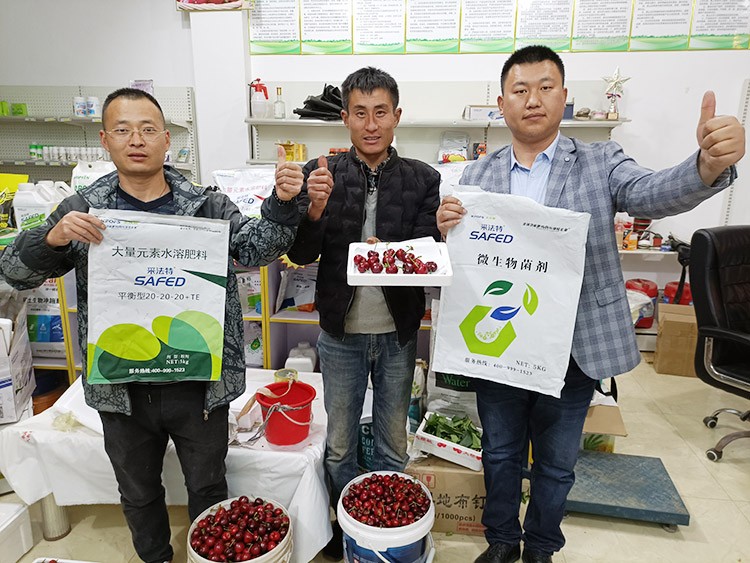 水溶肥哪家好？看完這篇不疑惑！