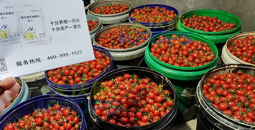 夫沃施進口肥怎么樣？