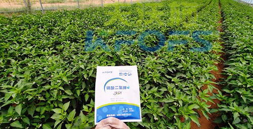 磷酸二氫鉀不好用？那是因為沒選對！