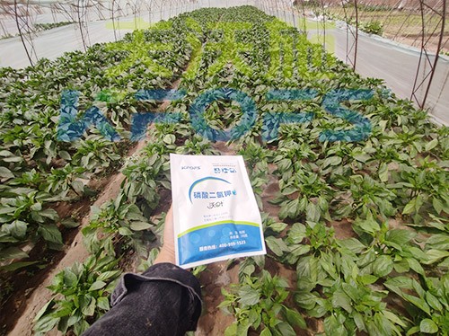 磷酸二氫鉀廠(chǎng)家，這家不要錯(cuò)過(guò)！