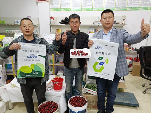 水溶肥哪家好？看完這篇不疑惑！