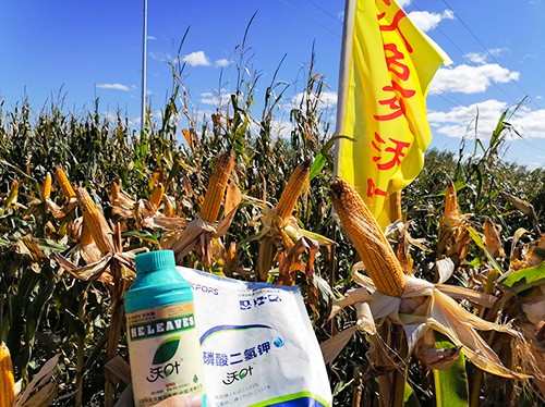玉米葉面肥哪個(gè)品牌好？