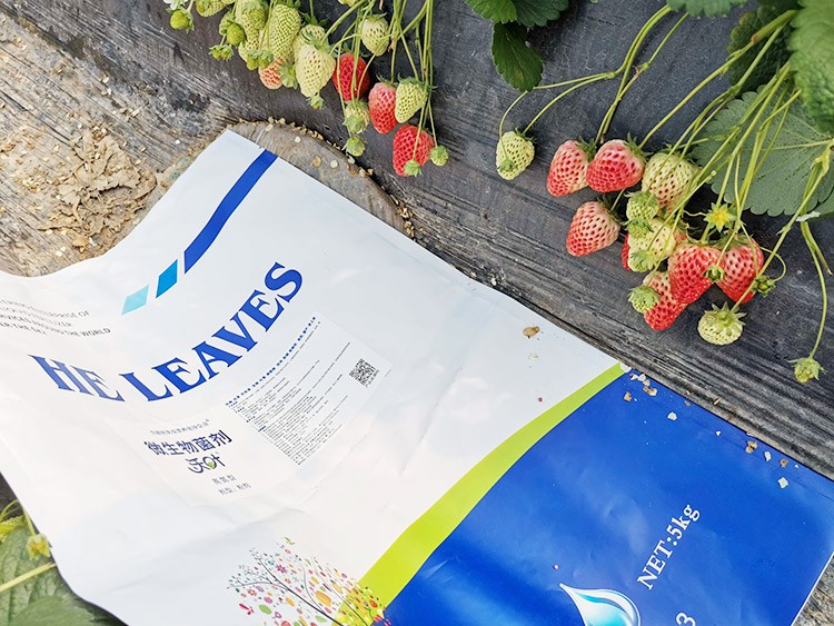 草莓微生物菌劑哪種好？別用錯(cuò)了！