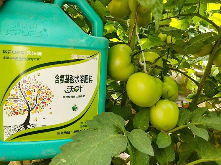 蔬菜沖施肥哪個品牌好？經(jīng)驗實談