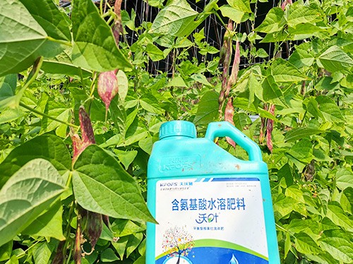 進(jìn)口水溶肥，懂行的人都這么選！