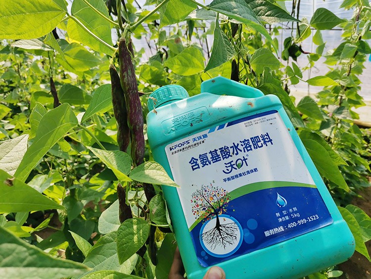 進(jìn)口水溶肥，懂行的人都這么選！