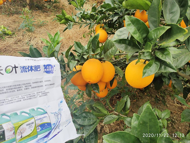 好的水溶肥是什么生產(chǎn)工藝？