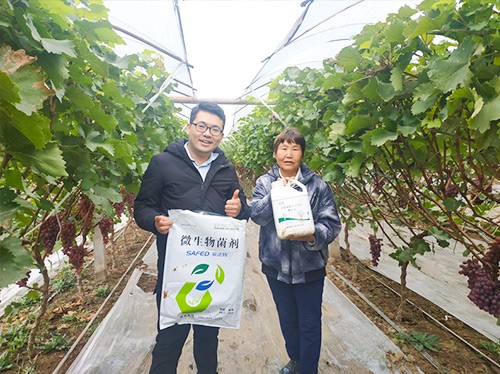 水溶肥廠家夫沃施都說好？好在哪？