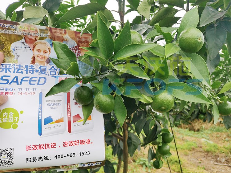 進(jìn)口水溶肥怎么選？參考這三點就夠了！