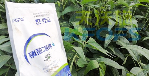 進口磷酸二氫鉀不得不了解的一個品牌！