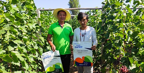 肥料廠家，有經(jīng)驗的農(nóng)資人這樣選！