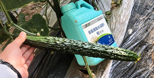 生根劑要安全不傷根，就選這個牌子！