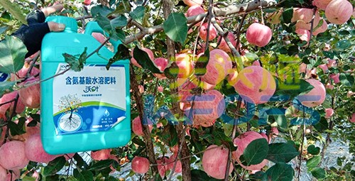 沖施肥怎么去沖施？什么牌子的好？