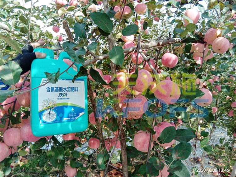 沖施肥怎么去沖施？什么牌子的好？