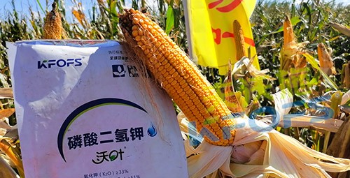 進口磷酸二氫鉀哪個品牌好？