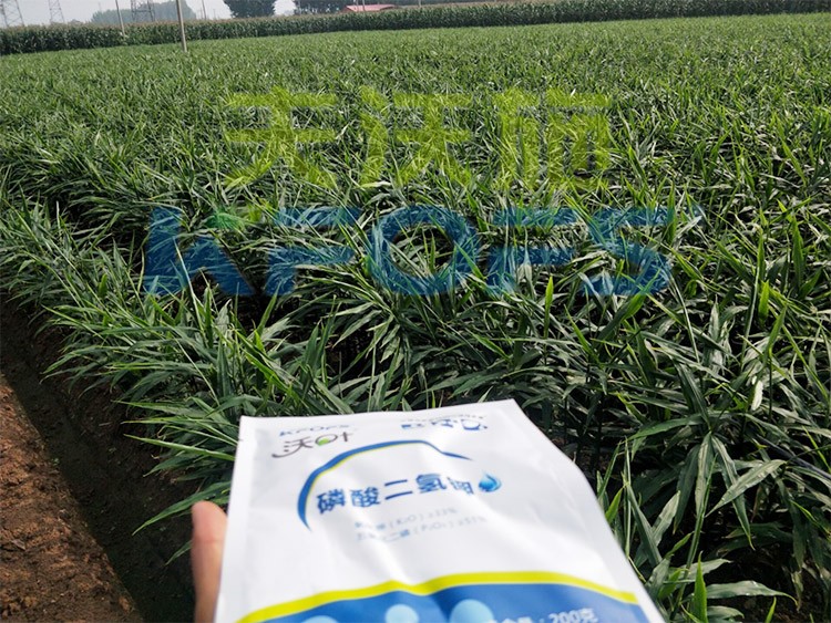 進口磷酸二氫鉀哪個品牌好？