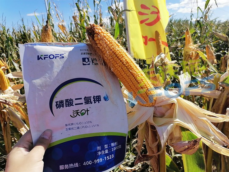 進口磷酸二氫鉀哪個品牌好？