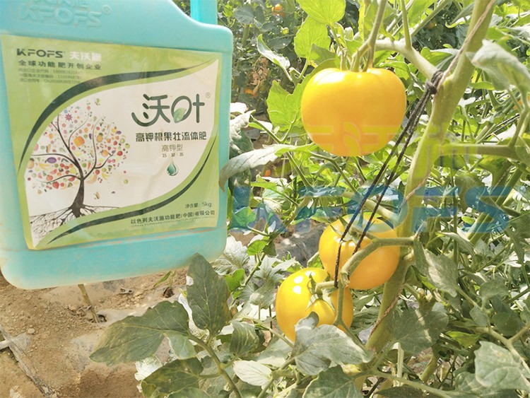 水溶肥的作用，不得不說(shuō)太強(qiáng)大了！