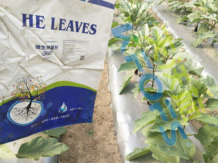 微生物菌劑怎么選擇好？