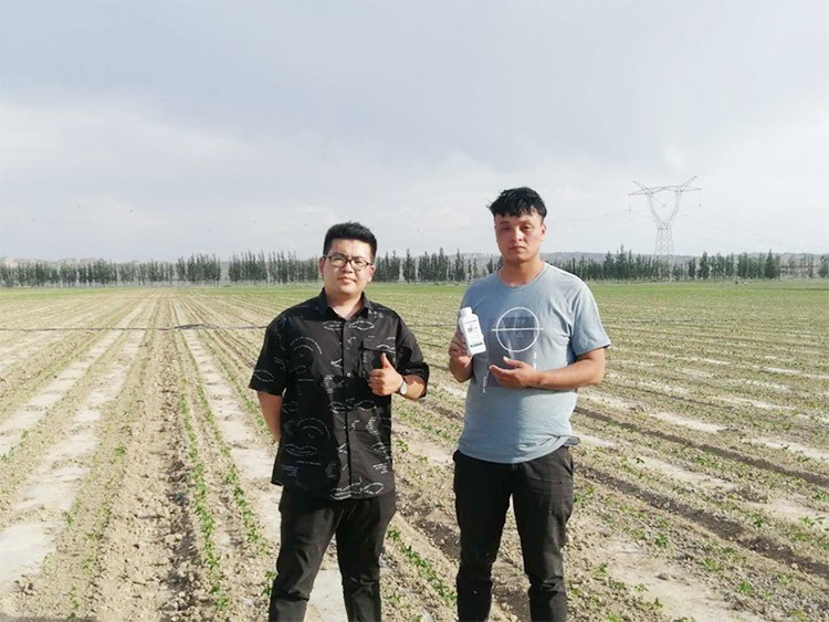 藥害還能恢復(fù)生長(zhǎng)嗎？這篇告訴你！