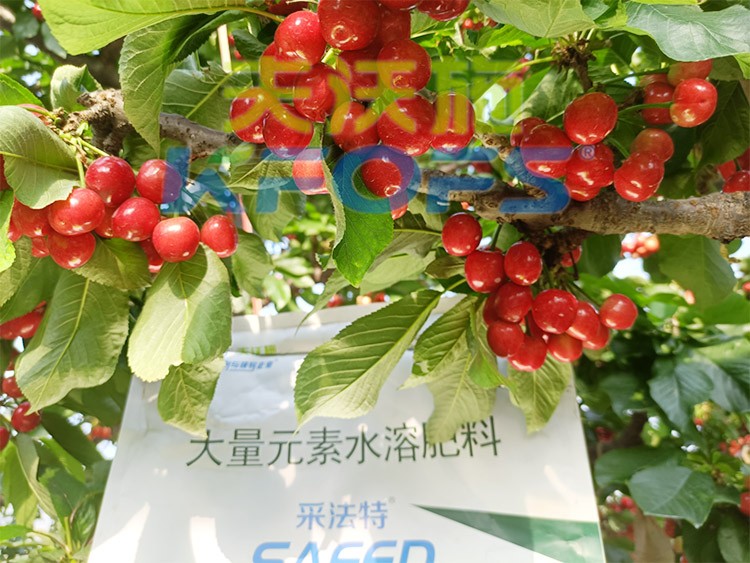 大量元素水溶肥為什么都說進口的好？