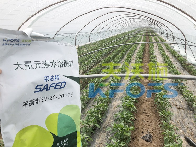 大量元素水溶肥為什么都說進口的好？