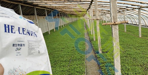 微生物菌劑廠家哪家好？