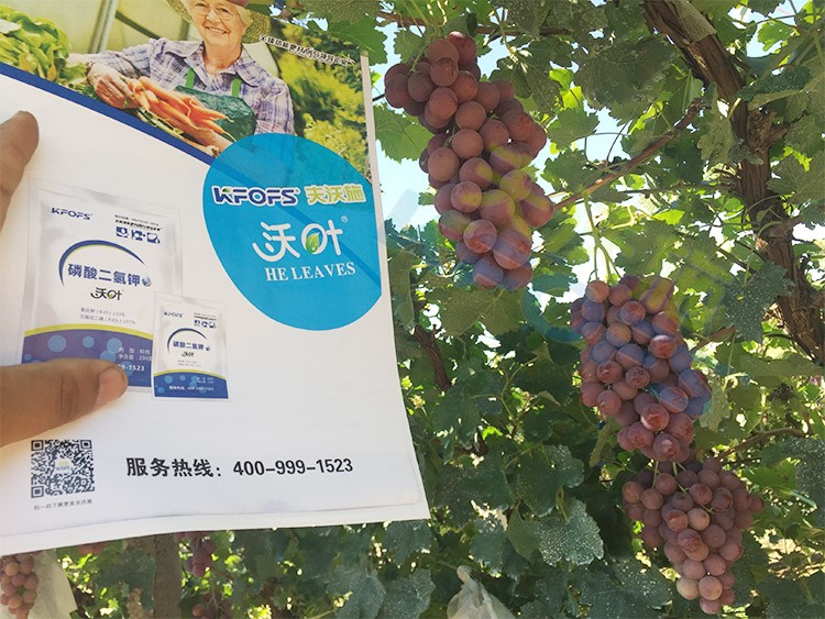 進口磷酸二氫鉀和國產(chǎn)有什么區(qū)別？