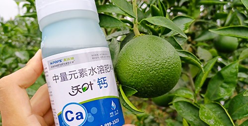 果樹補鈣用什么鈣肥好？
