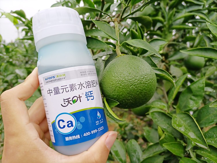 果樹補鈣用什么鈣肥好？