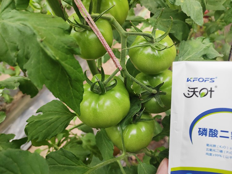 購買磷酸二氫鉀要看哪幾點(diǎn)？
