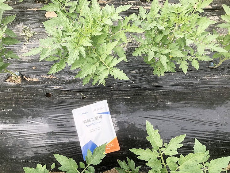 什么牌子的磷酸二氫鉀好？這個(gè)答案不要錯(cuò)過(guò)！