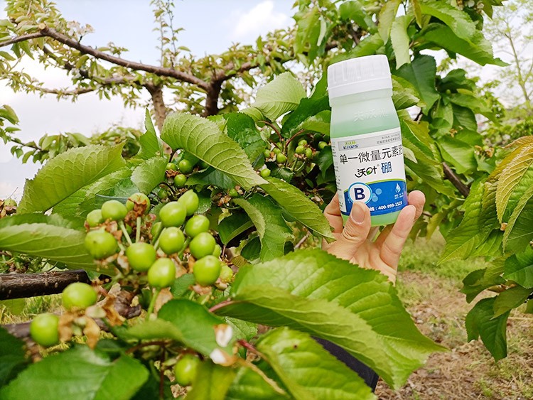 硼肥哪個(gè)品牌的好？這款不要錯(cuò)過(guò)！