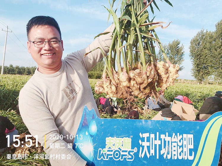 進口水溶肥推薦你選沃葉，這就是原因！