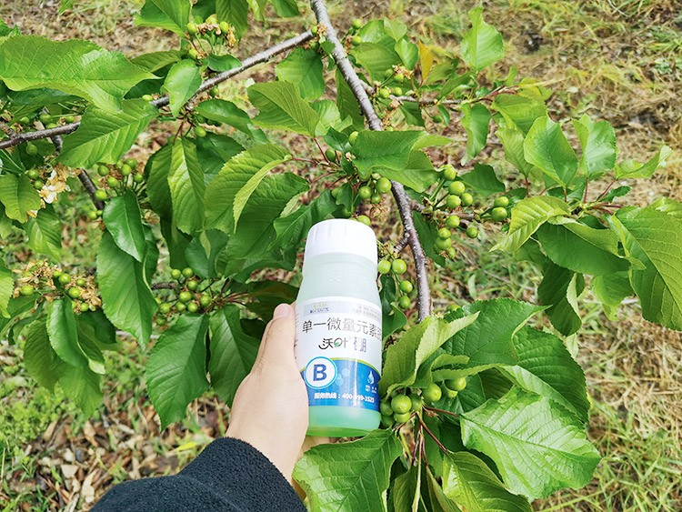 ?；ū９~面肥，她就認(rèn)準(zhǔn)這個(gè)牌子！