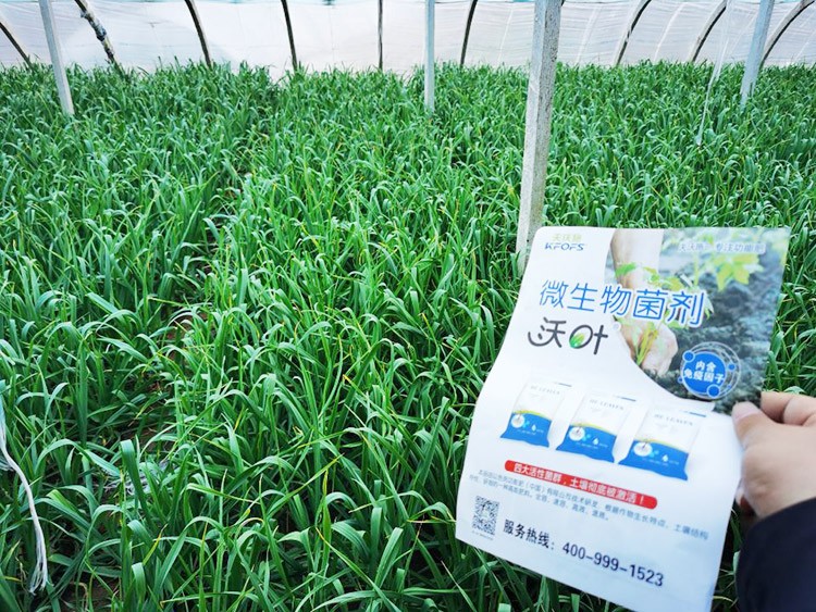 微生物菌劑選它，放心又舒心！