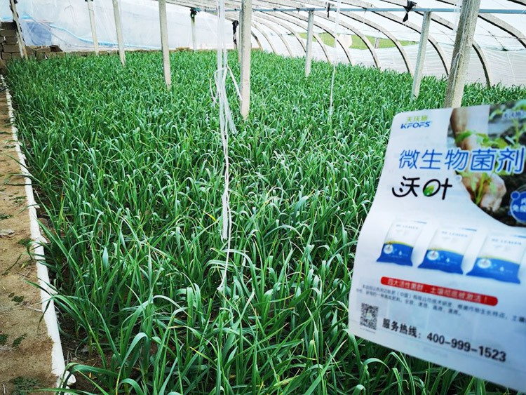 微生物菌劑選它，放心又舒心！