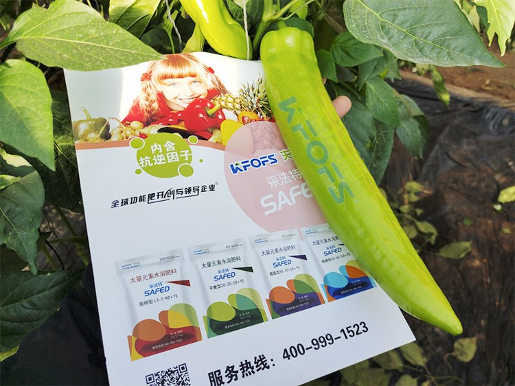 進(jìn)口水溶肥蔬菜上怎么用效果好？