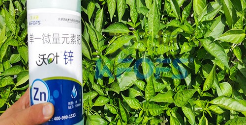 鋅肥是什么肥料？辣椒用有什么好處？