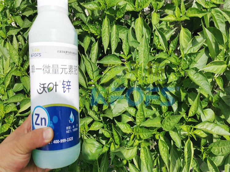 鋅肥是什么肥料？辣椒用有什么好處？
