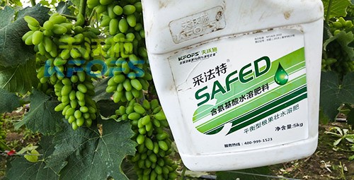 進口水溶肥用這個，葡萄能增產(chǎn)