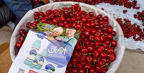 果樹葉面肥哪個品牌好？