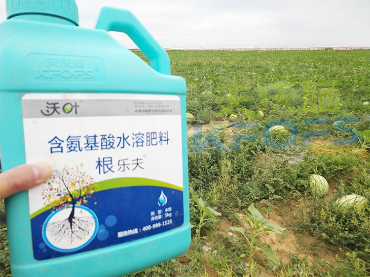 西瓜用什么進(jìn)口水溶肥好？
